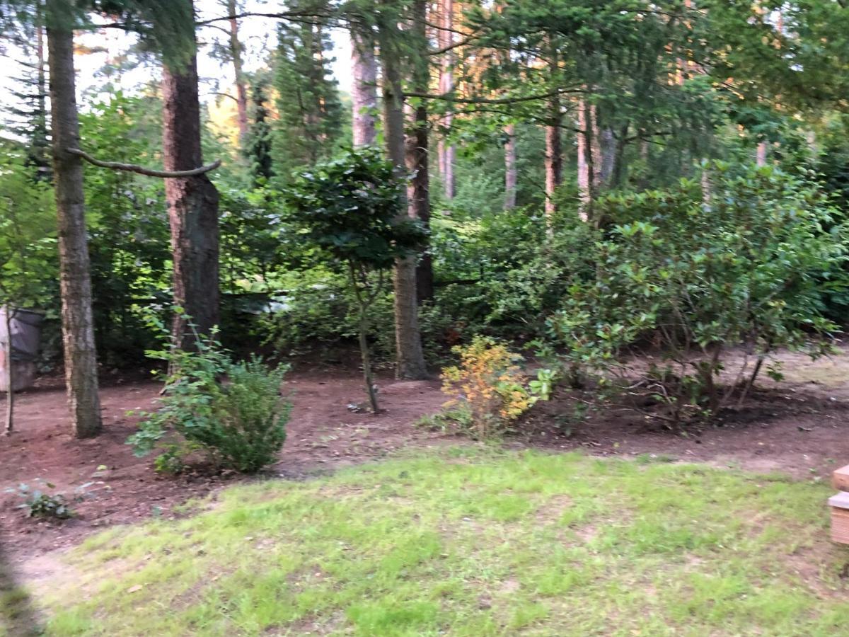 Ferienhaus Reetdach 1300Qm Privatgrundstueck Bootssteg Sauna Templin Luebbesee Uckermark Erholung Pur Seenplatte Petersdorf  Zewnętrze zdjęcie